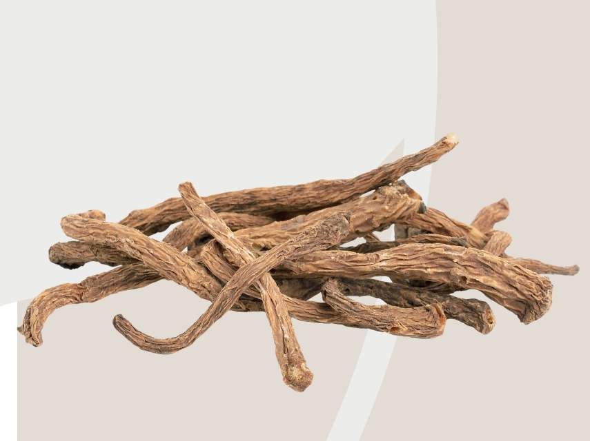 RĂDĂCINĂ DE ANGELICĂ