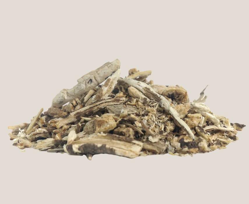 RĂDĂCINĂ DE LEUȘTEAN